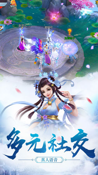 思美人-图3