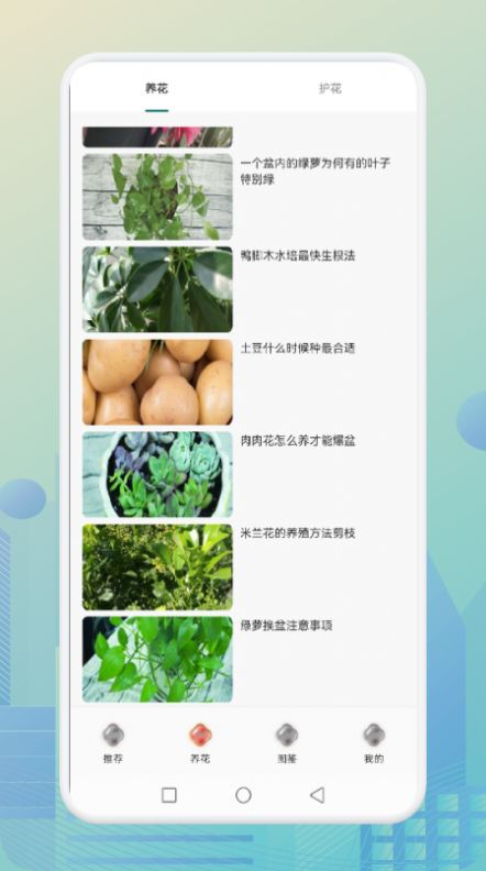 花优-图1