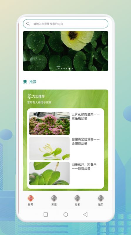花优-图2