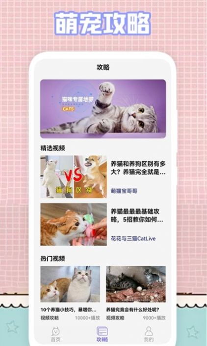 我的猫咪壁纸-图3