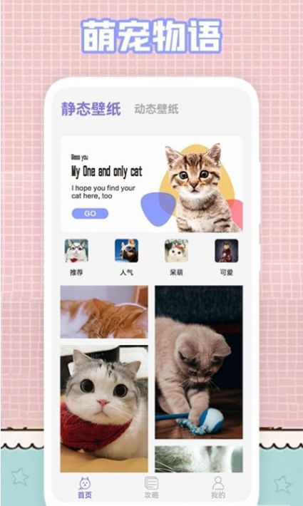 我的猫咪壁纸-图2