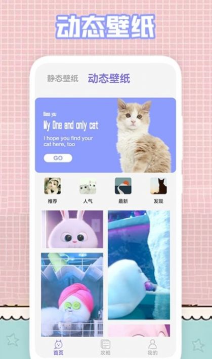 我的猫咪壁纸-图1