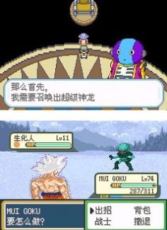 口袋妖怪龙珠z中文版