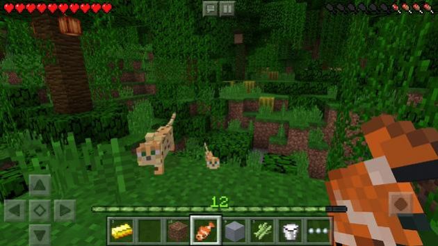我的世界1.19国际版-图1