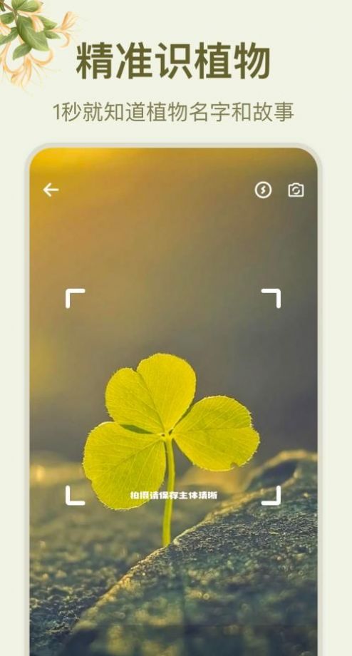拍照识花大师-图3