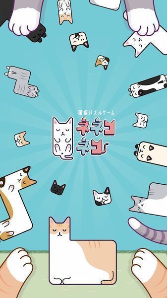 猫猫睡觉-图1