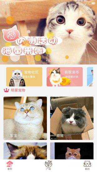 猫咪社区3.0-图1