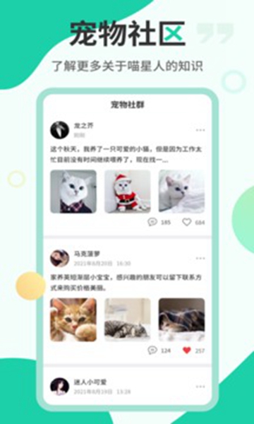 猫语翻译机-图1