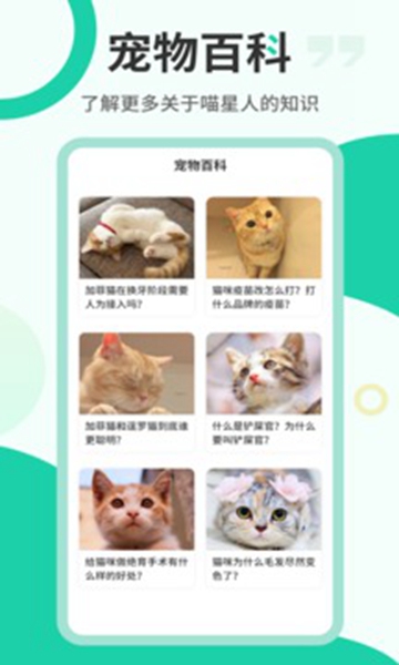 猫语翻译机-图2