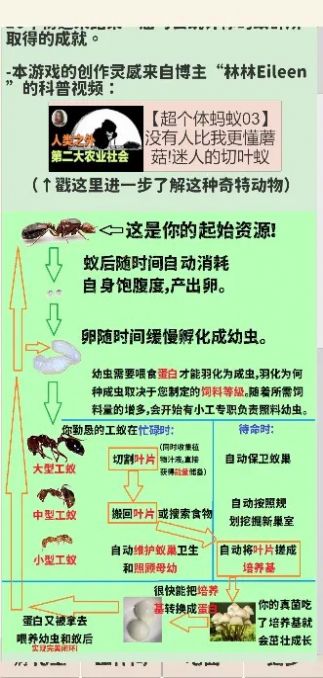 切叶蚁模拟器-图3