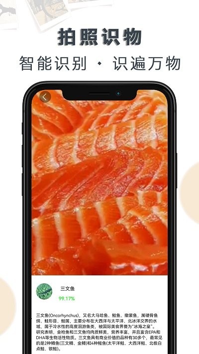 豆拍拍照识物.jpg