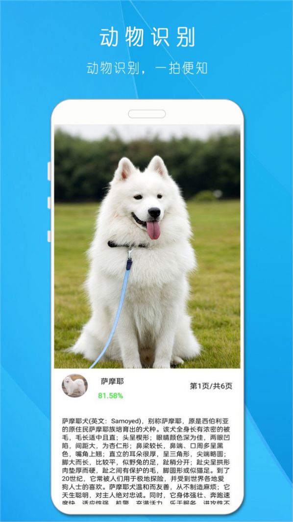 拍照识万物.jpg