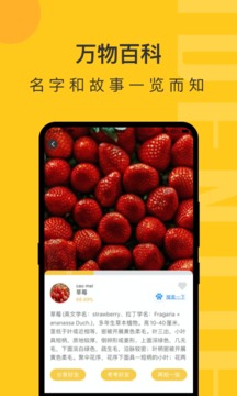 随手拍照识物.jpg