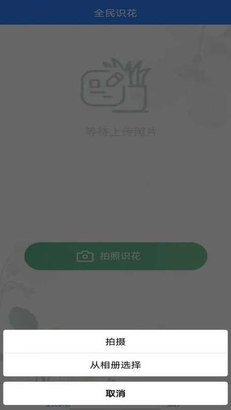 全民识花-图2