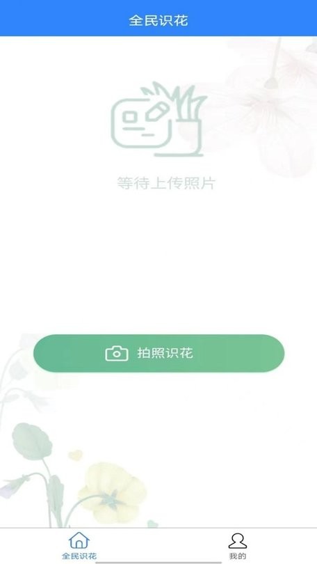 全民识花-图1