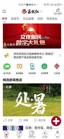 合江荔枝红-图2