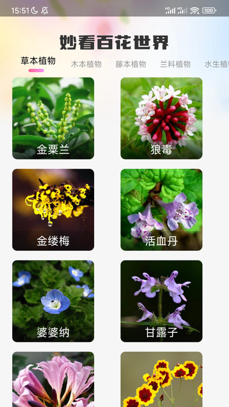 妙看百花-图3