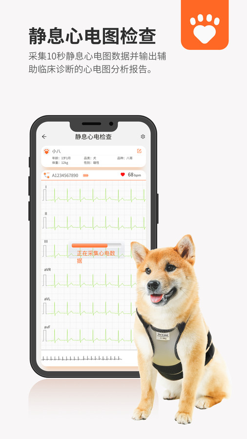 星爱宠健康管理-图3