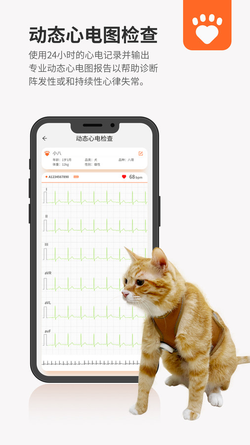 星爱宠健康管理-图1