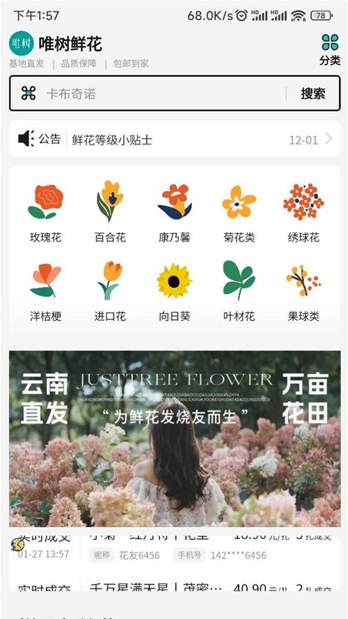 唯树鲜花-图1