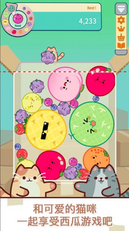 猫和西瓜-图1
