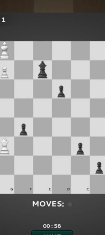 国际棋的狂热-图3