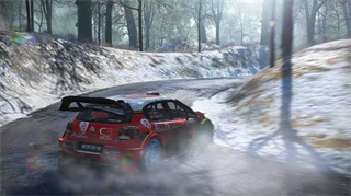 wrc7拉力赛-图3